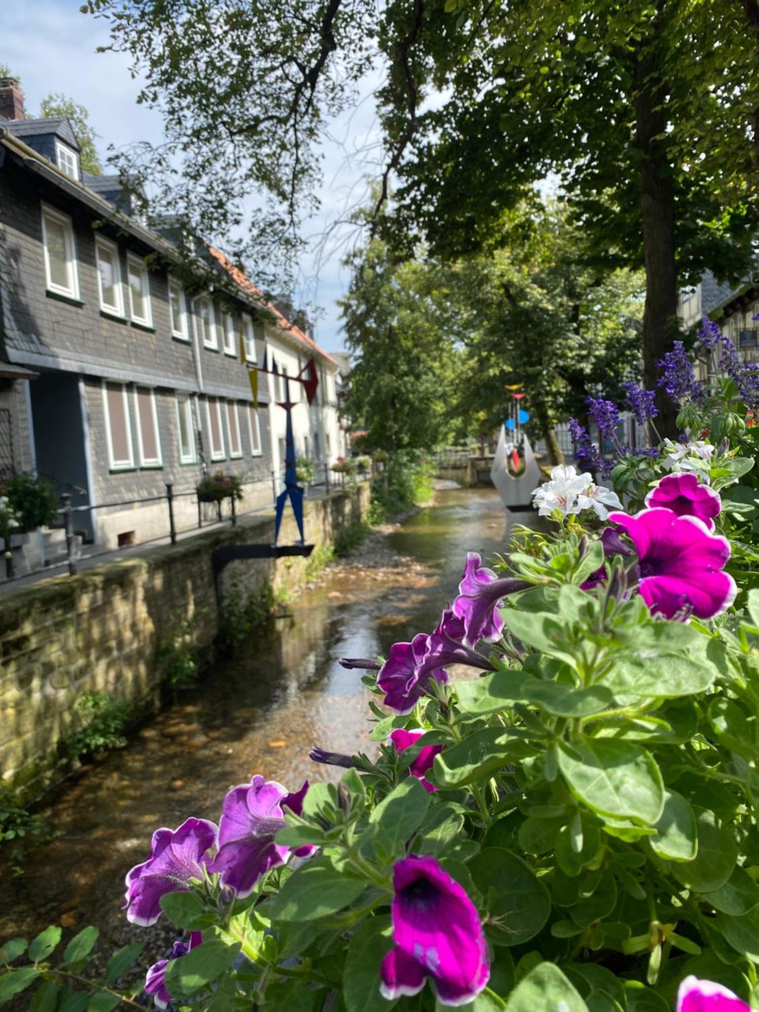 Fewo Georgenberg Goslar Exterior photo